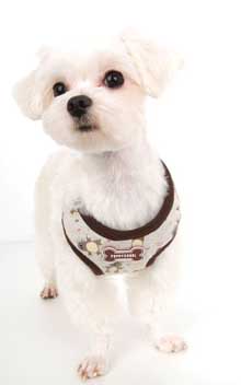 Dog Harness