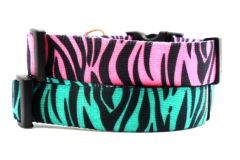 Dog Collar | Zebra