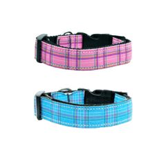 Dog Collar | Stipes | Pink & Blue