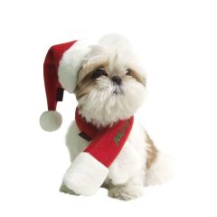 Dog Elf Hat | Gorgeous Christmas | Red Elf Hat For Dog | Soft polar fleece | Adjustable strap fastening