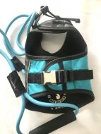 Dog harness with 110cm leash | Touchdog | Size: S