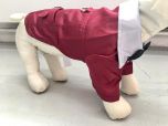 Party Devil Jacket Dark Red | Sizes: S-L