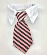 Dog Tie with Collar | Rosa Stripe
