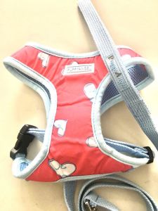 Dog harness with leash 130cm PuppyAngel | Sizes: L-XL