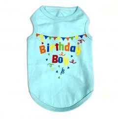 Sleeveless Shirt Birthday Boy | Turquoise | Sizes: XS-XL