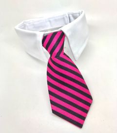 Dog and Cat Tie with Collar | Pink Stripe