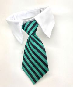 Dog and Cat Tie with Collar | Green Stripe