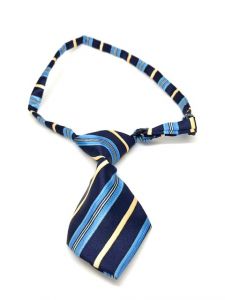 Tie Business Class Blue