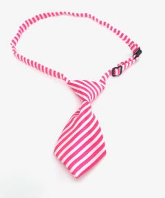 Dog Tie Pink Stripe