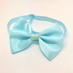 Bow Tie Turquoise Glossy