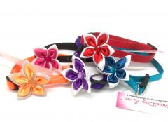 Dog and Cat Collar Flower with clip lock 20cm - 30cm, width 1cm