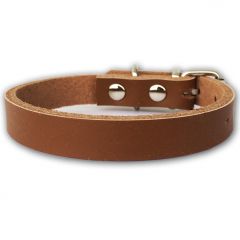 Collar for Dogs and Cats | Mini Leather Brown Minimalistic