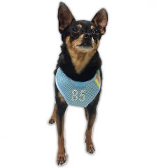 Dog Harness | Mesh 85 Blue