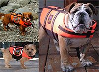 Dogs Life Jacket