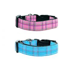 Dog Collar | Stipes | Pink & Blue