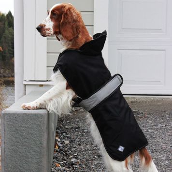 Danish design 2 in 1 deals harness dog coat