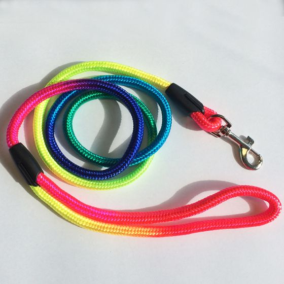 Rainbow leash deals