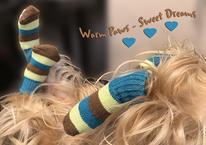 Dog Socks & Shoes & Boots Dog Socks & Shoes & Boots