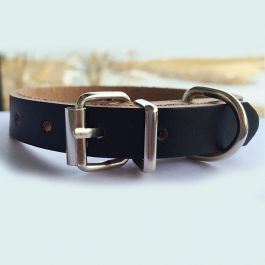 minimal dog collar