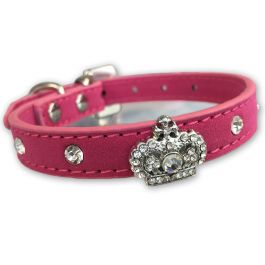 royal dog collars