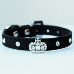 Collar for dogs and cats | Mini King Black Velvet