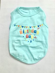 Sleeveless Shirt Birthday Boy | Turquoise | Sizes: XS-M