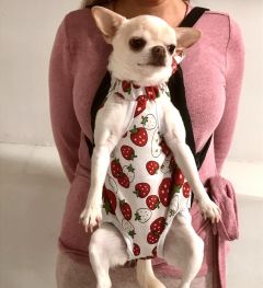 Dog Sling Strawberry M-size for puppy and small dog