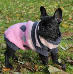 Dog Sweater | Pink & Black