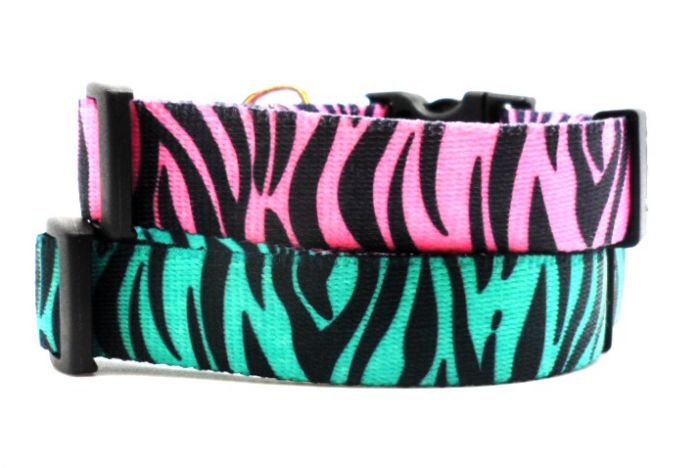 zebra dog collar