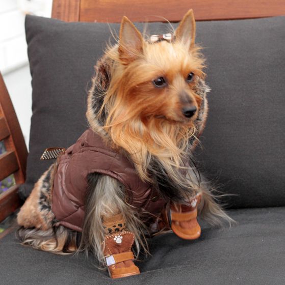 dog quilted coat