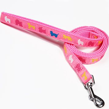 pink leash