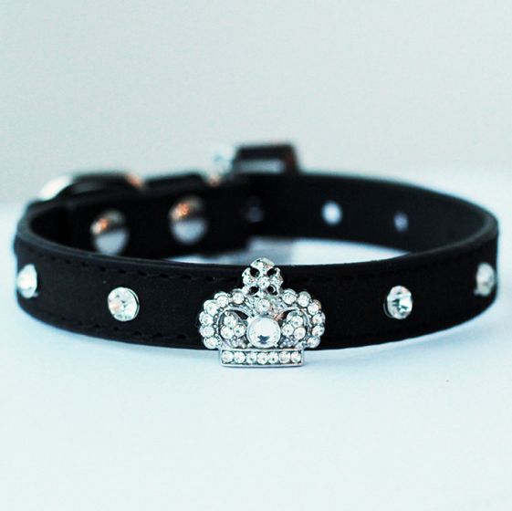 mini dog collars