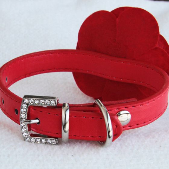red rose dog collar