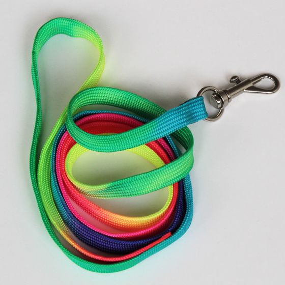 rainbow leash
