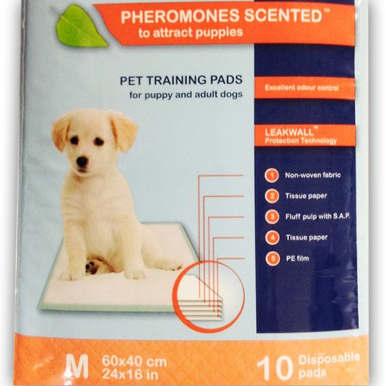 scented dog pads
