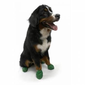 pawz slippers