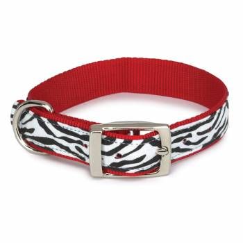 zebra dog collar